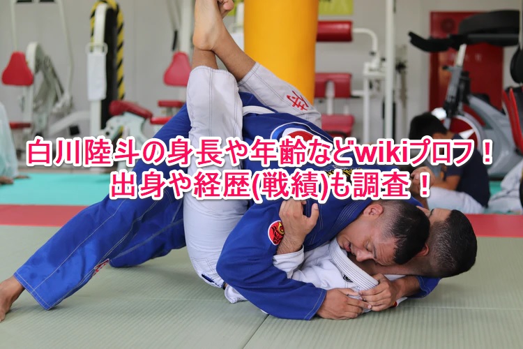 白川陸斗の身長や年齢などwikiプロフ 出身や経歴 戦績 も調査 なんでもミュージアム 白川陸斗の身長や年齢などwikiプロフ 出身や経歴 戦績 も調査 なんでもミュージアム