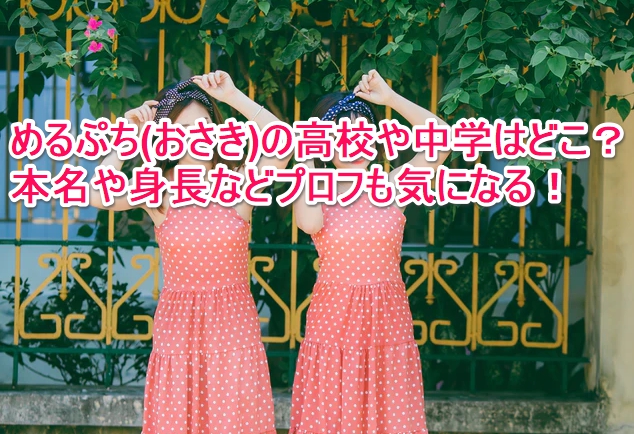 めるぷち おさき の高校や中学はどこ 本名や身長などプロフも気になる なんでもミュージアム めるぷち おさき の高校や中学はどこ 本名や身長などプロフも気になる なんでもミュージアム