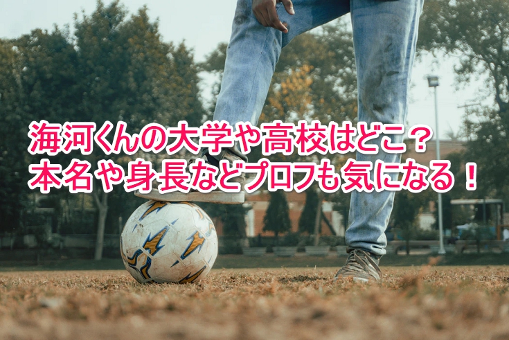 海河くんの大学や高校はどこ 本名や身長などプロフも気になる なんでもミュージアム