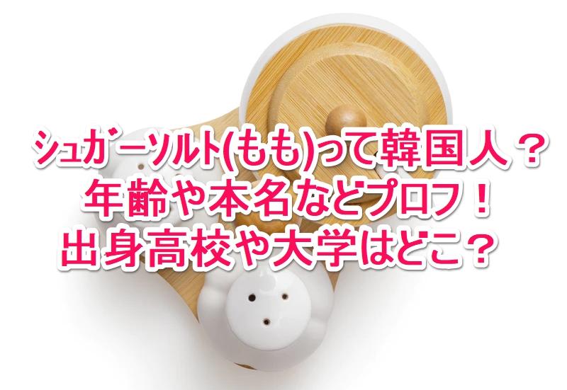 ｼｭｶﾞｰｿﾙﾄ もも って韓国人 年齢や本名などプロフ 出身高校や大学はどこ なんでもミュージアム